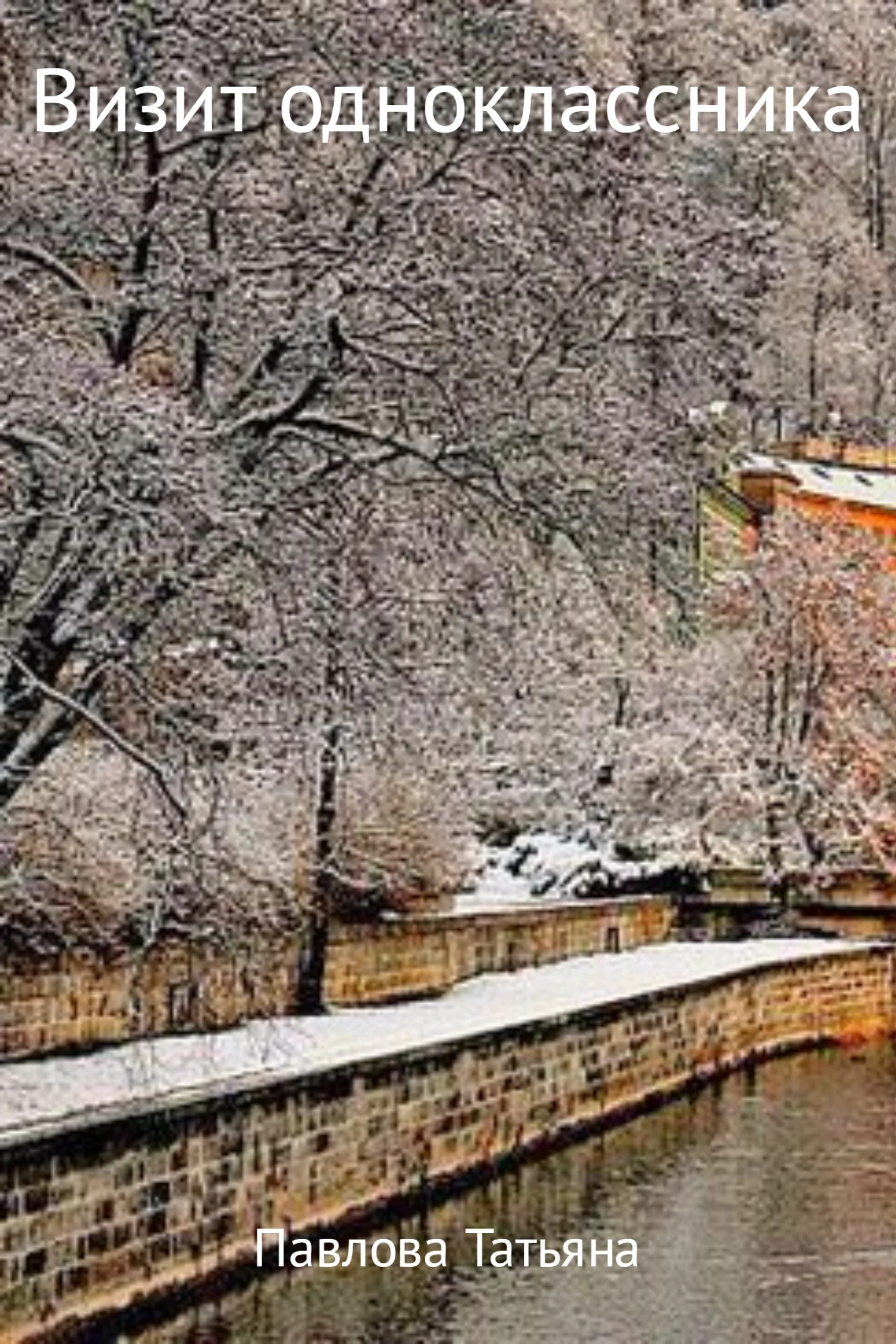 Обложка Визит одноклассника