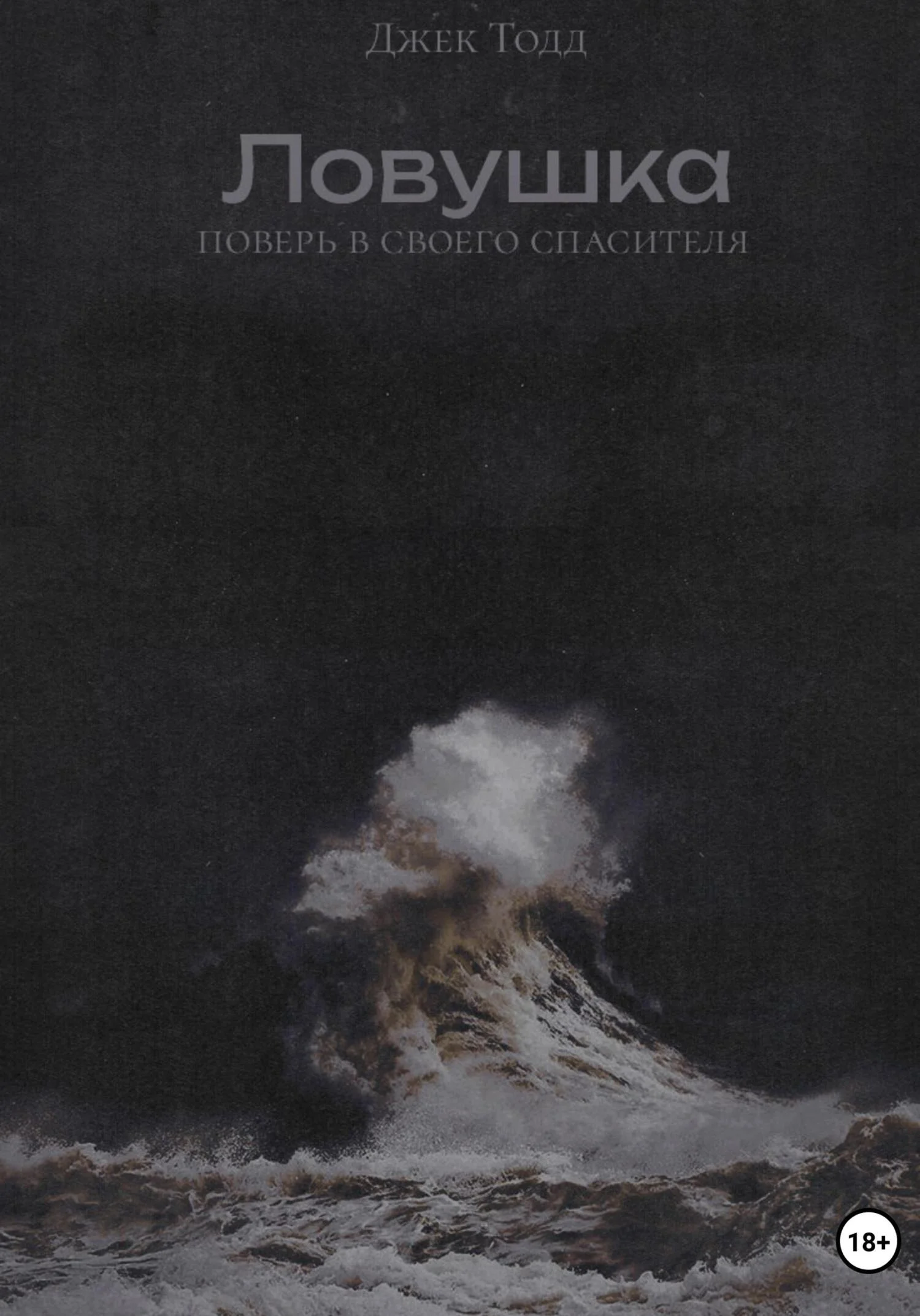 Обложка Ловушка