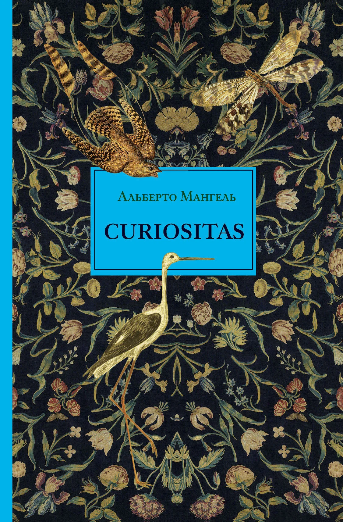 Обложка Curiositas. Любопытство