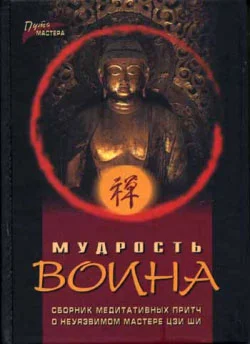 Обложка Мудрость воина. Сборник медитативных притч