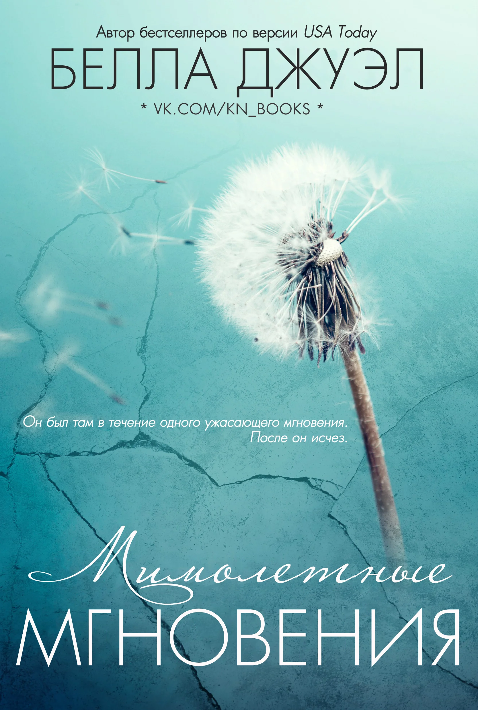 Обложка Мимолетные мгновения