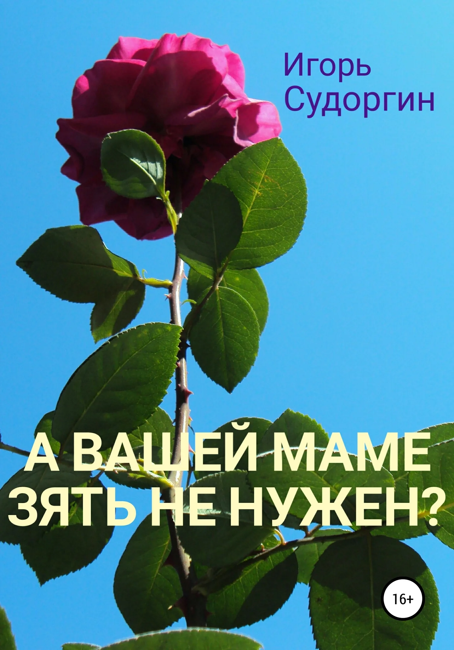 Обложка А вашей маме зять не нужен?