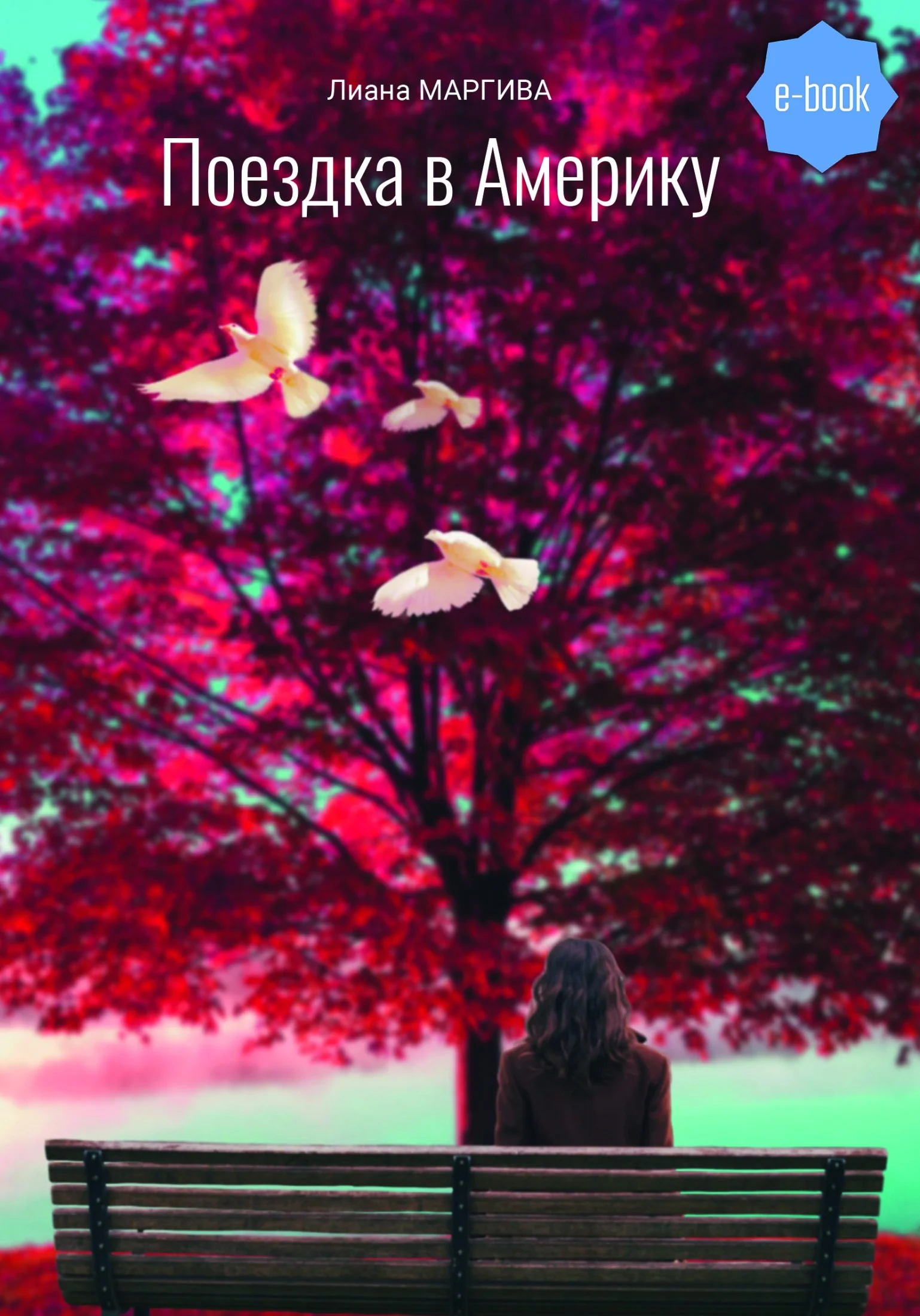 Обложка Поездка в Америку