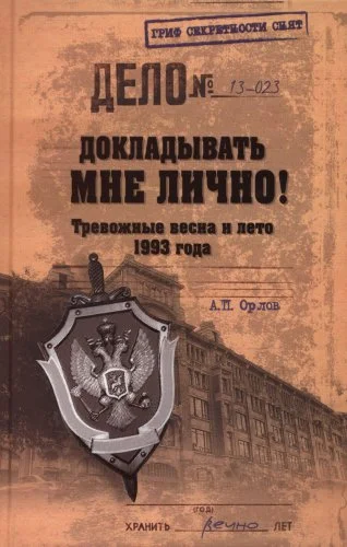 Обложка Докладывать мне лично! Тревожные весна и лето 1993 года