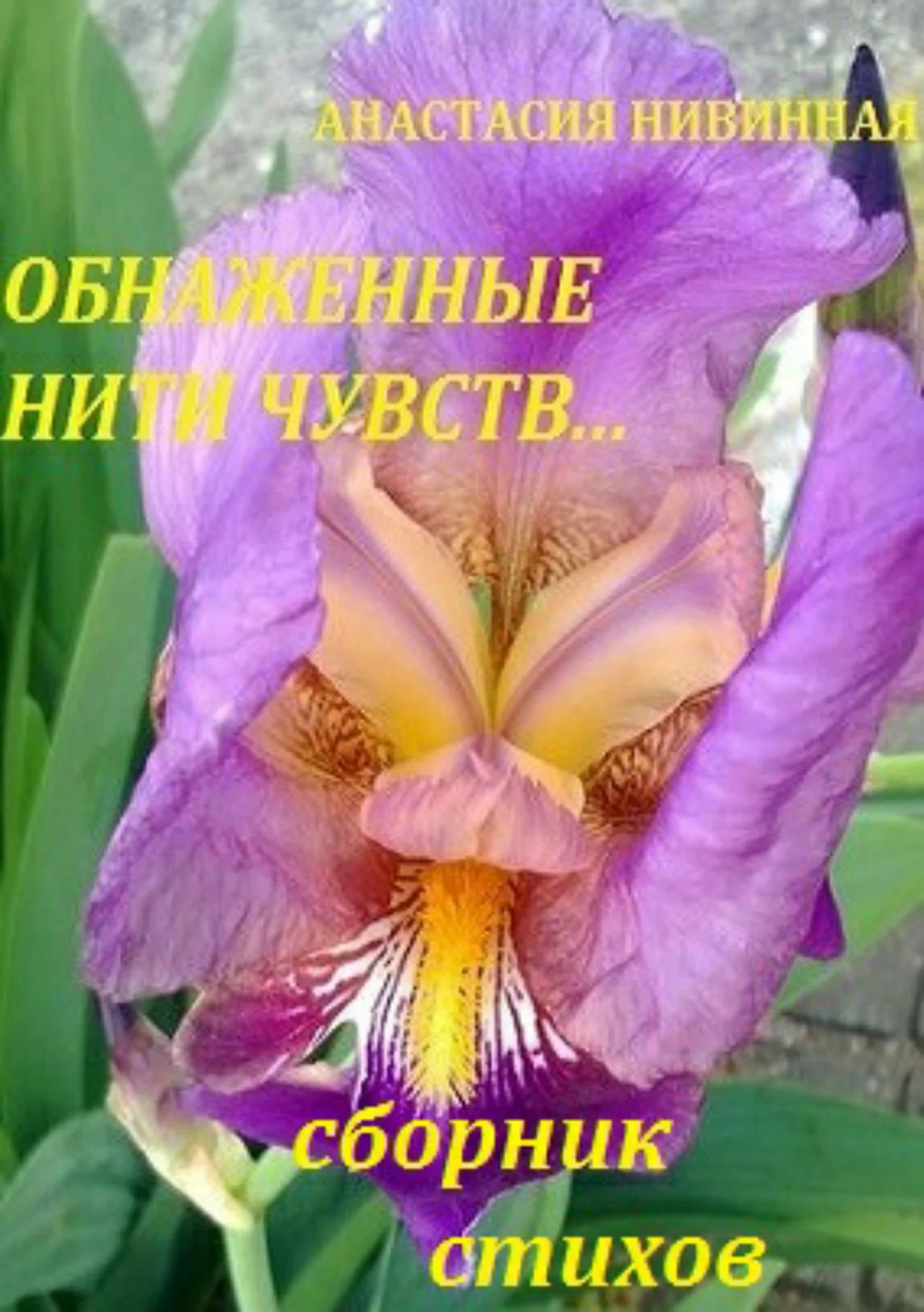 Обложка Обнаженные нити чувств. Сборник стихов