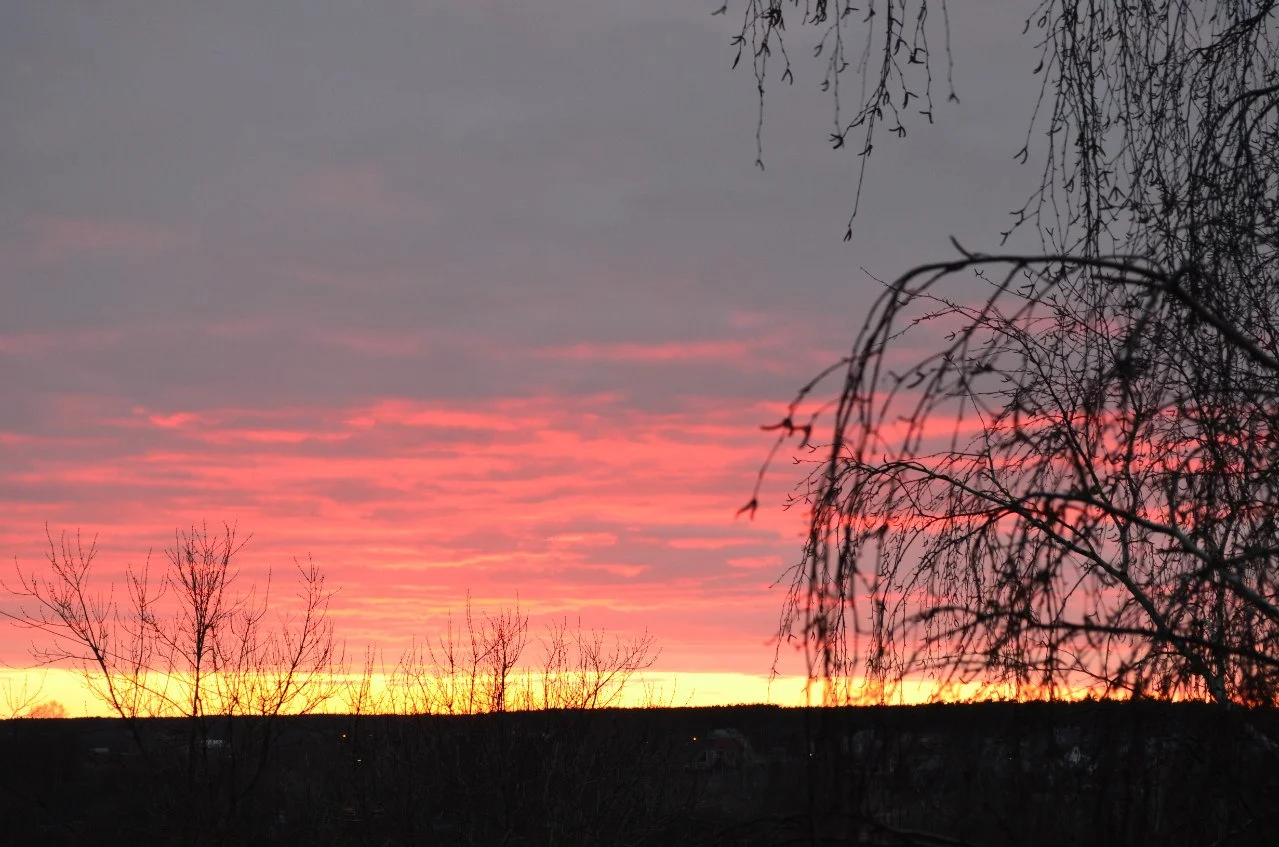 Обложка Сны за полночь