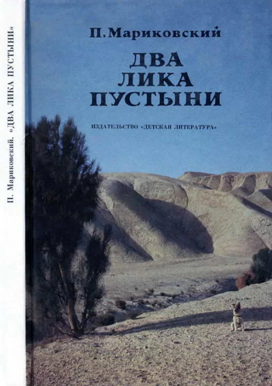 Обложка Два лика пустыни