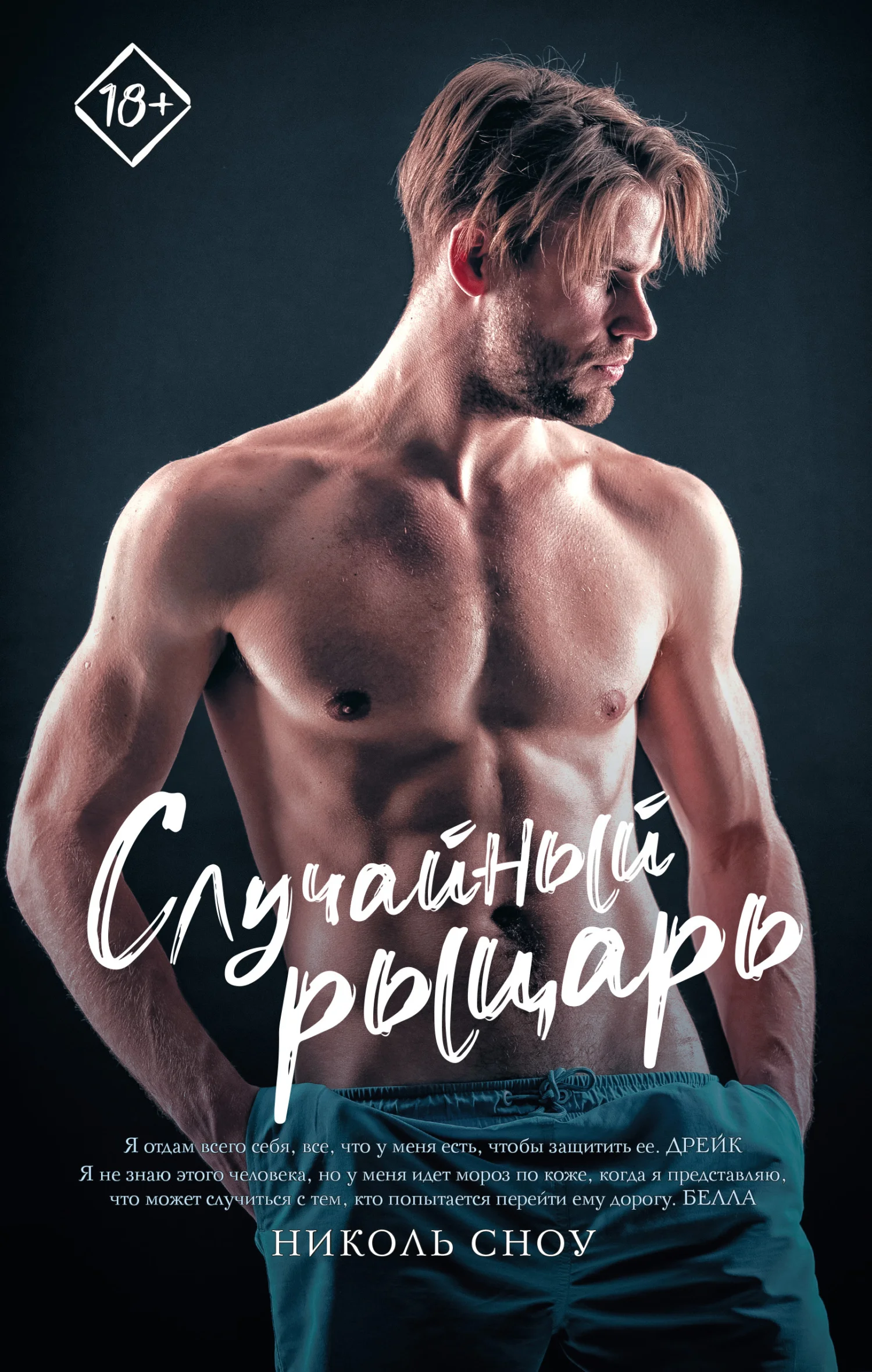 Обложка Случайный рыцарь