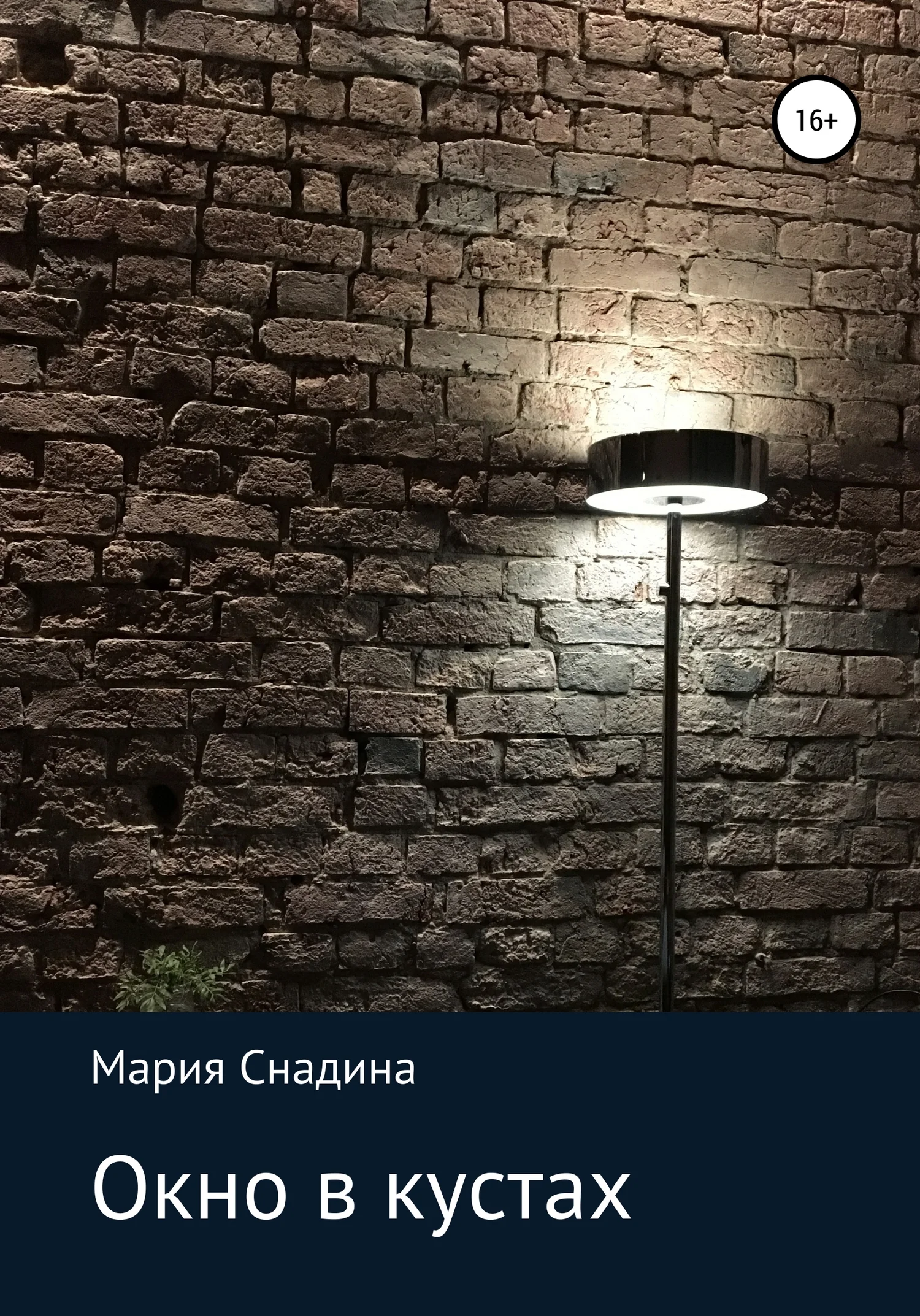 Обложка Окно в кустах