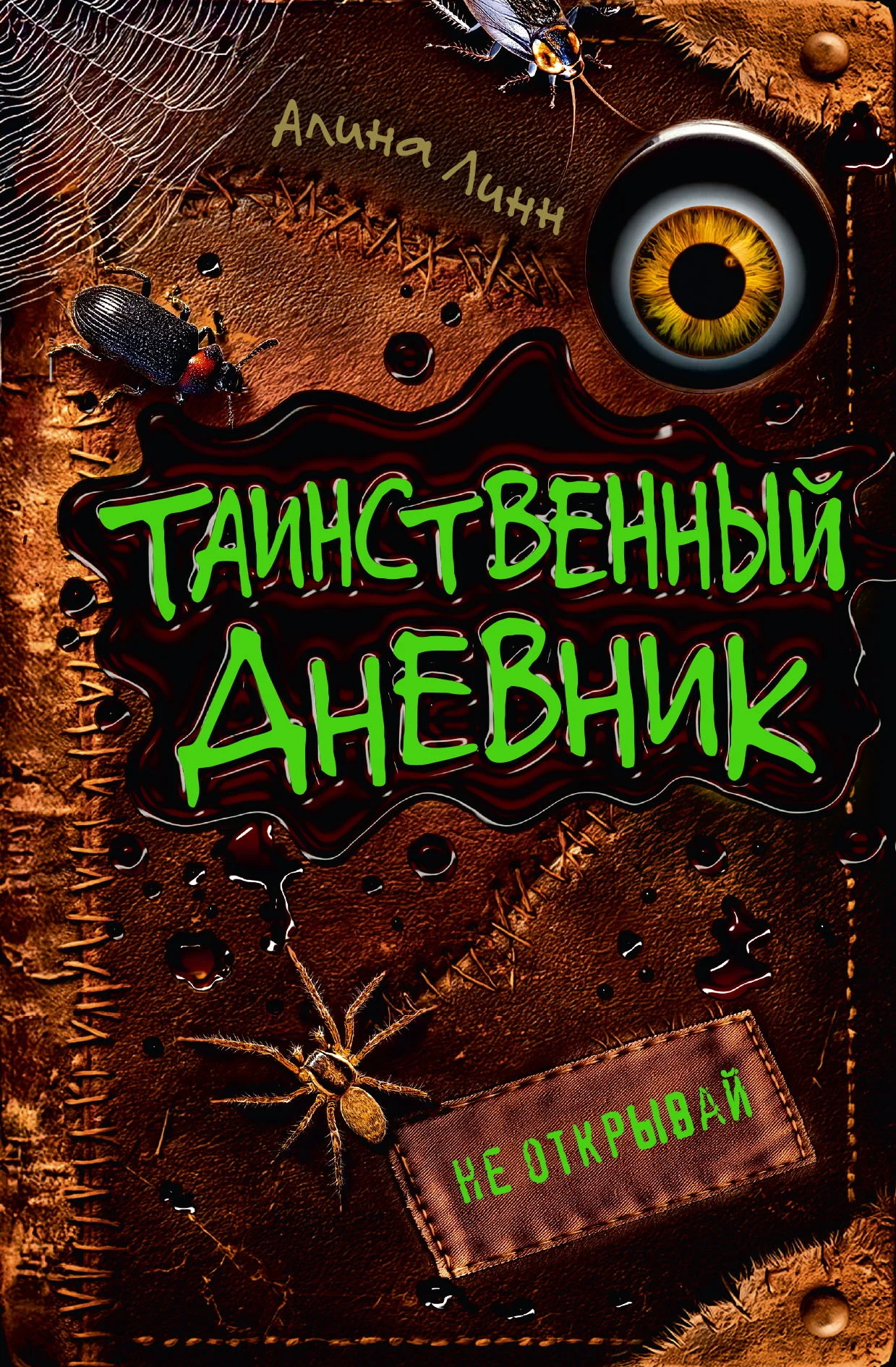 Обложка Таинственный дневник