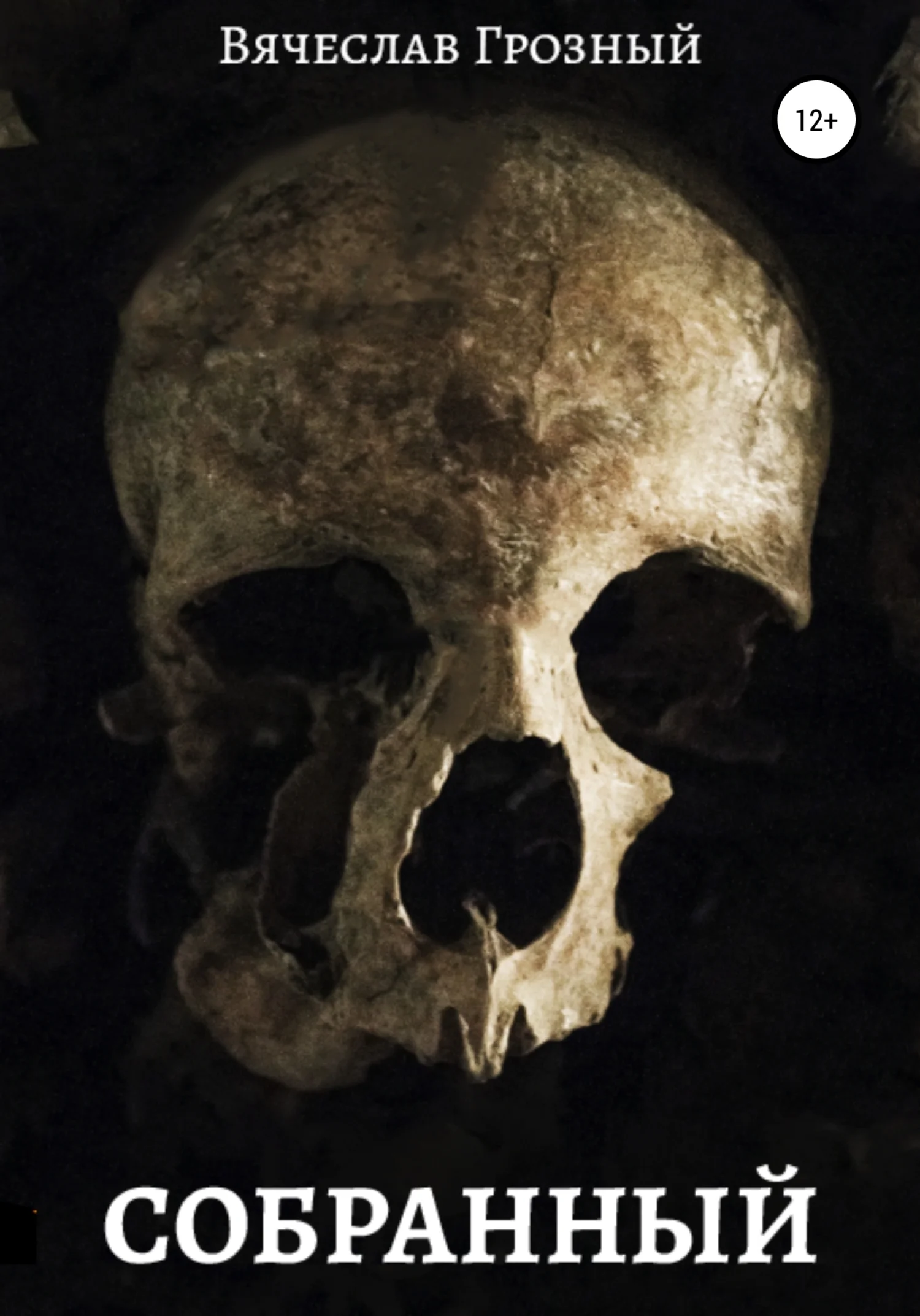 Обложка Собранный