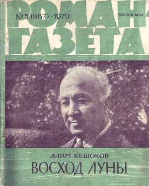 Обложка Восход луны