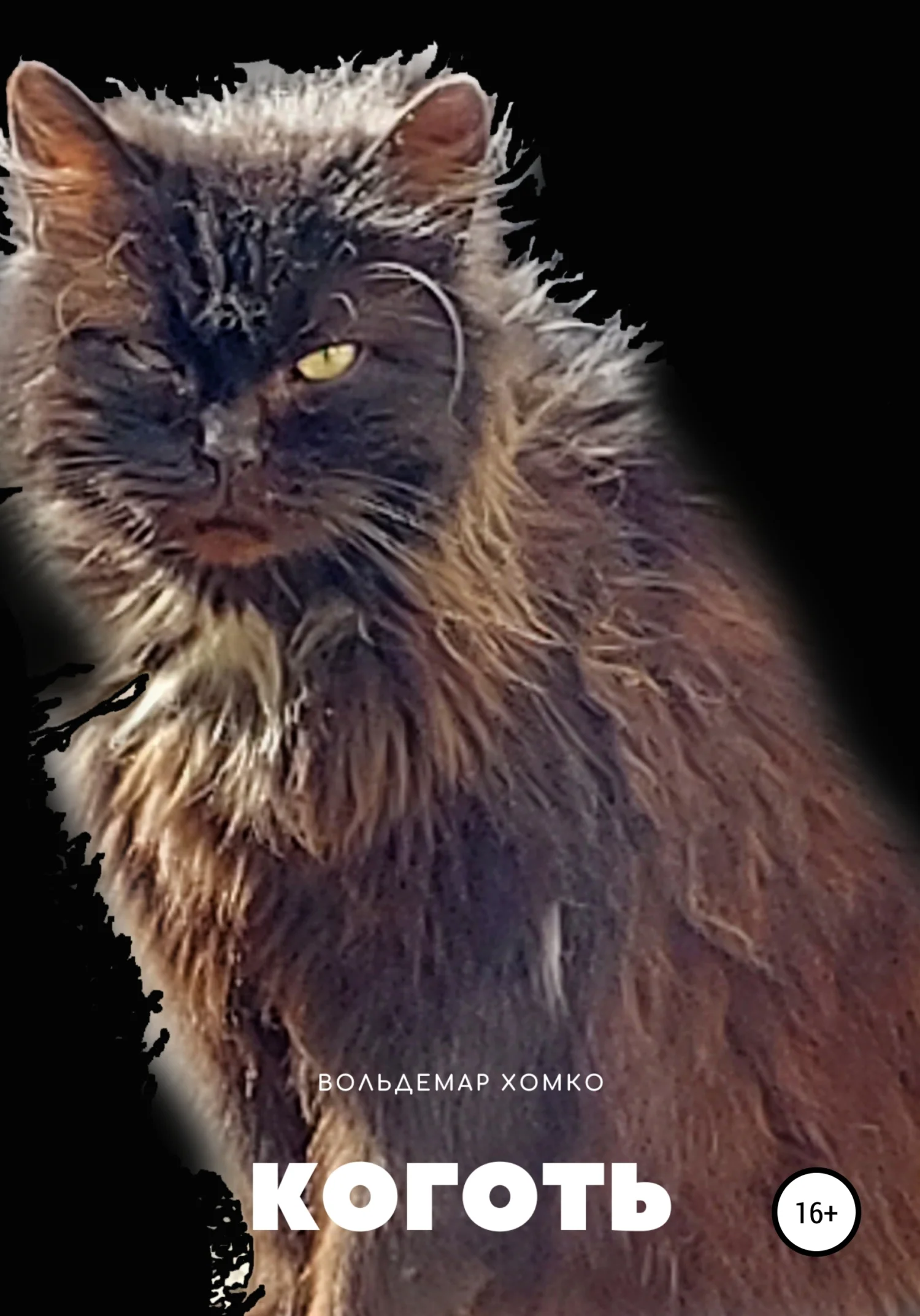 Обложка Коготь