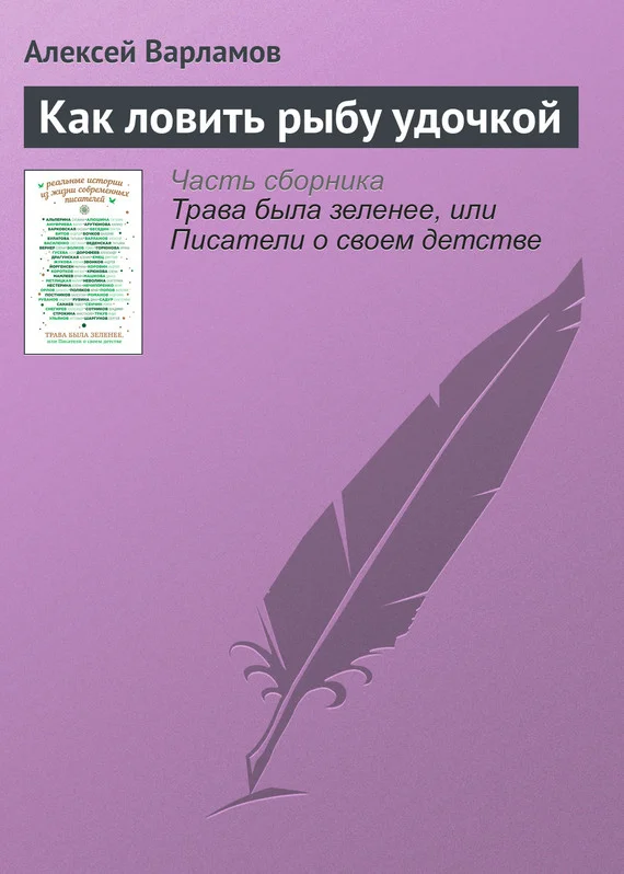 Обложка Как ловить рыбу удочкой