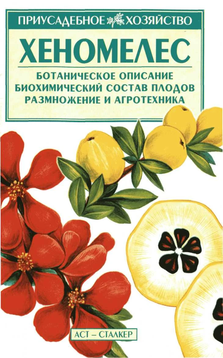 Обложка Хеномелес
