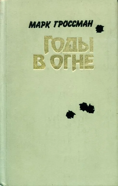 Обложка Годы в огне