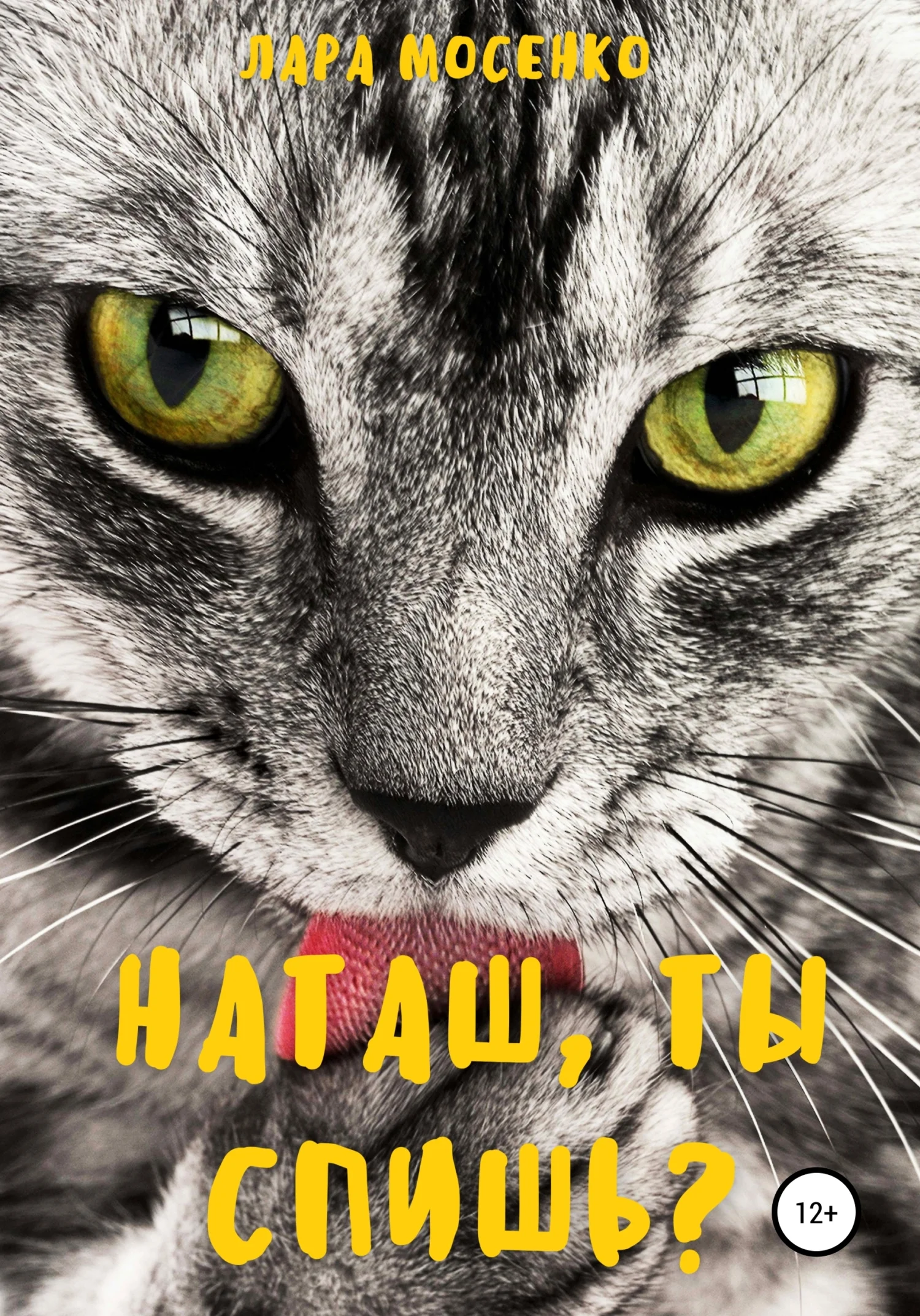 Обложка Наташ, ты спишь?