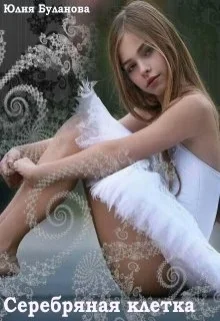 Обложка Серебряная клетка