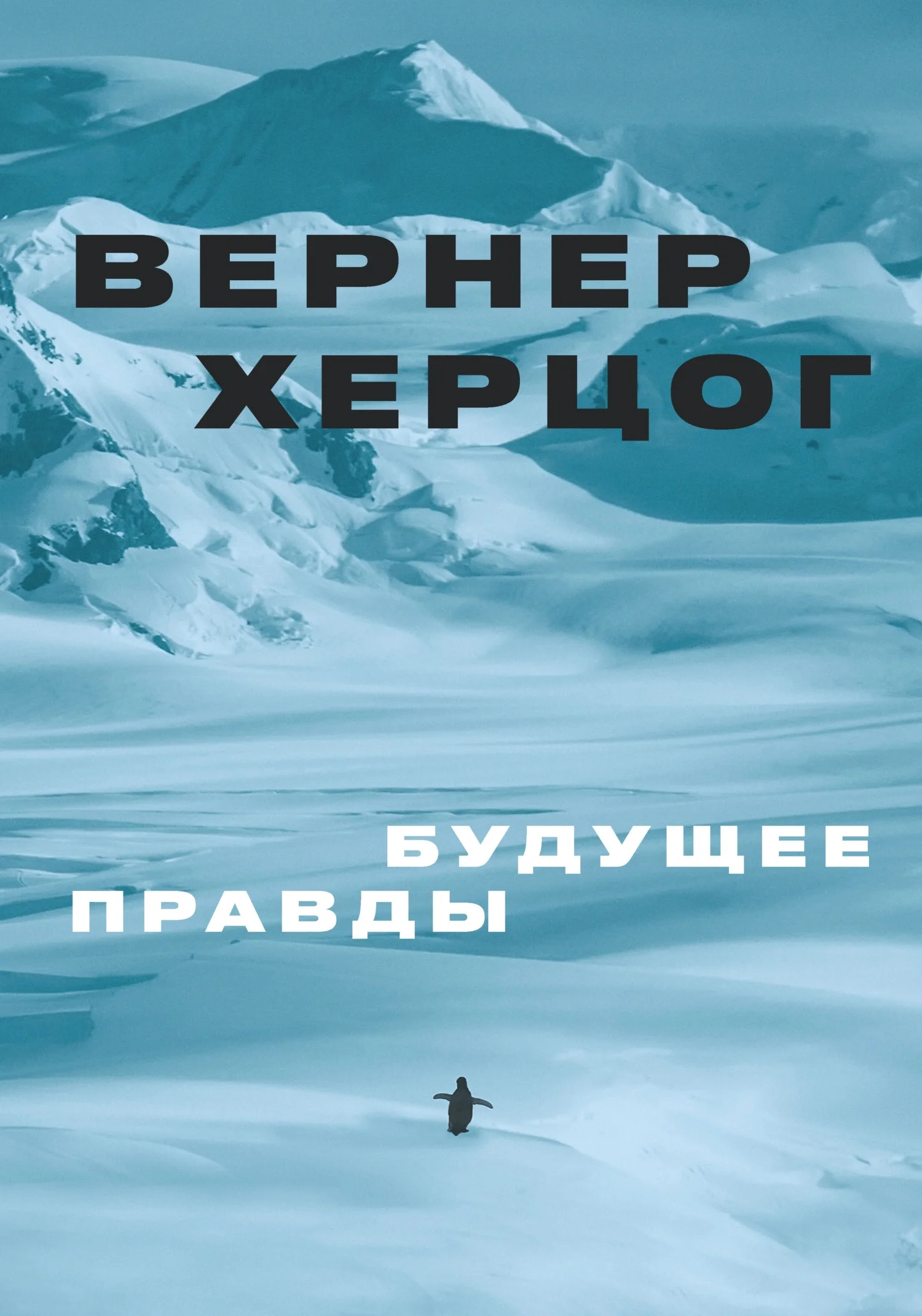 Обложка Будущее правды