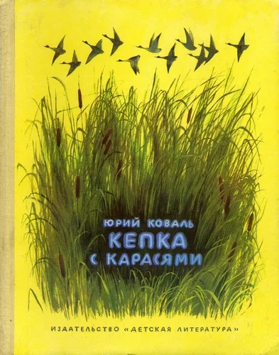 Обложка Кепка с карасями