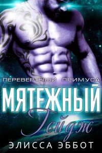Обложка Бунтарь Гейдж