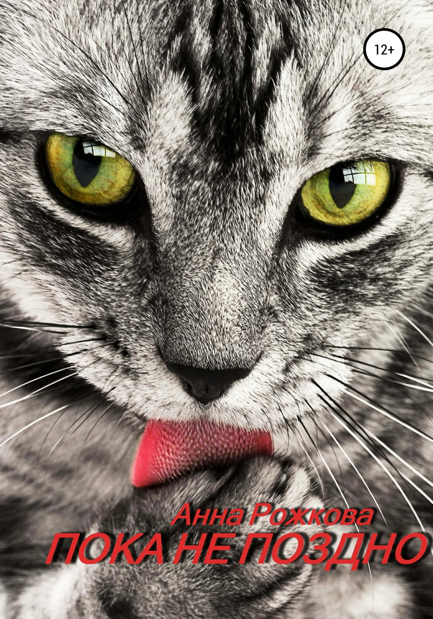 Обложка Пока не поздно