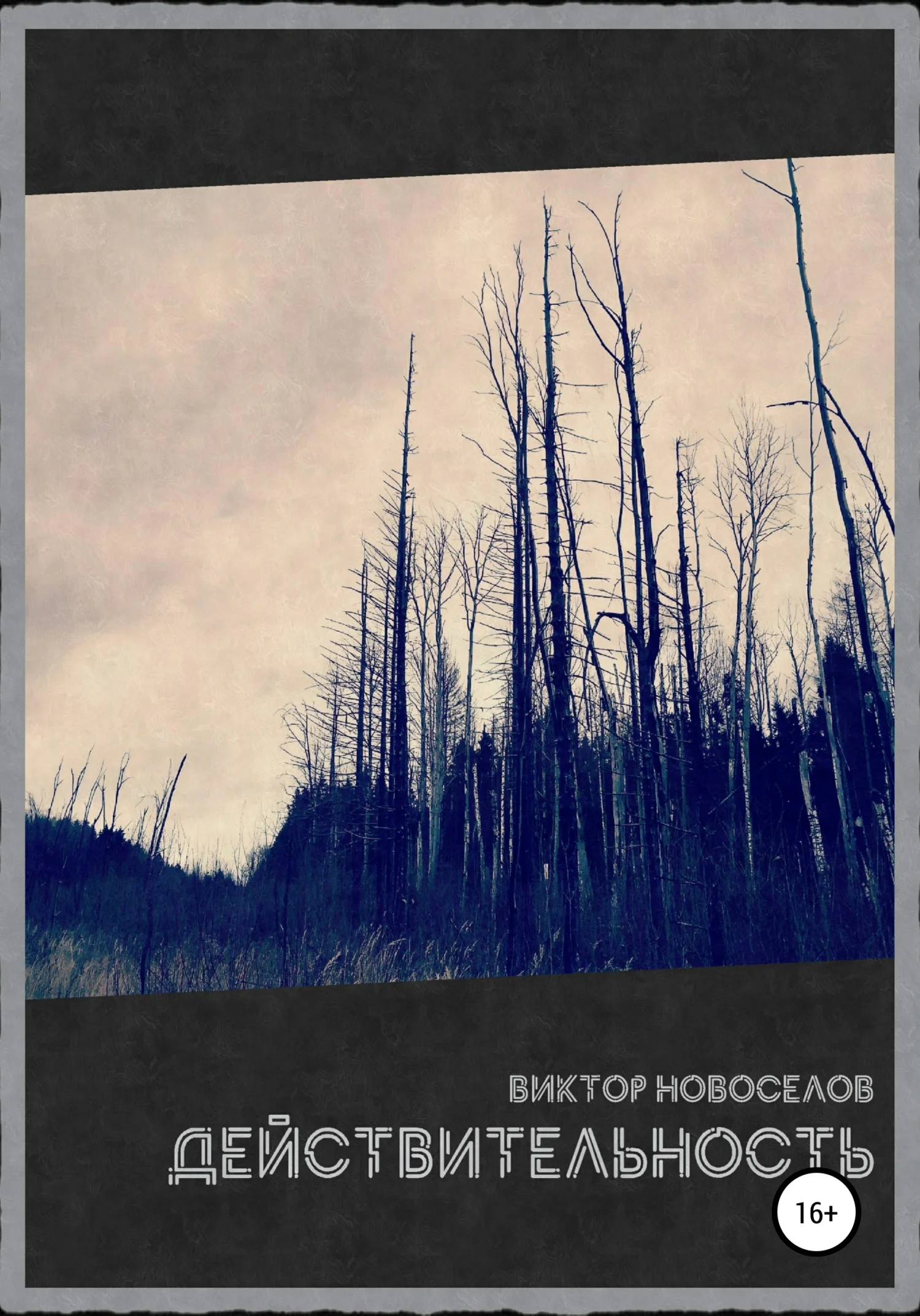 Обложка Действительность