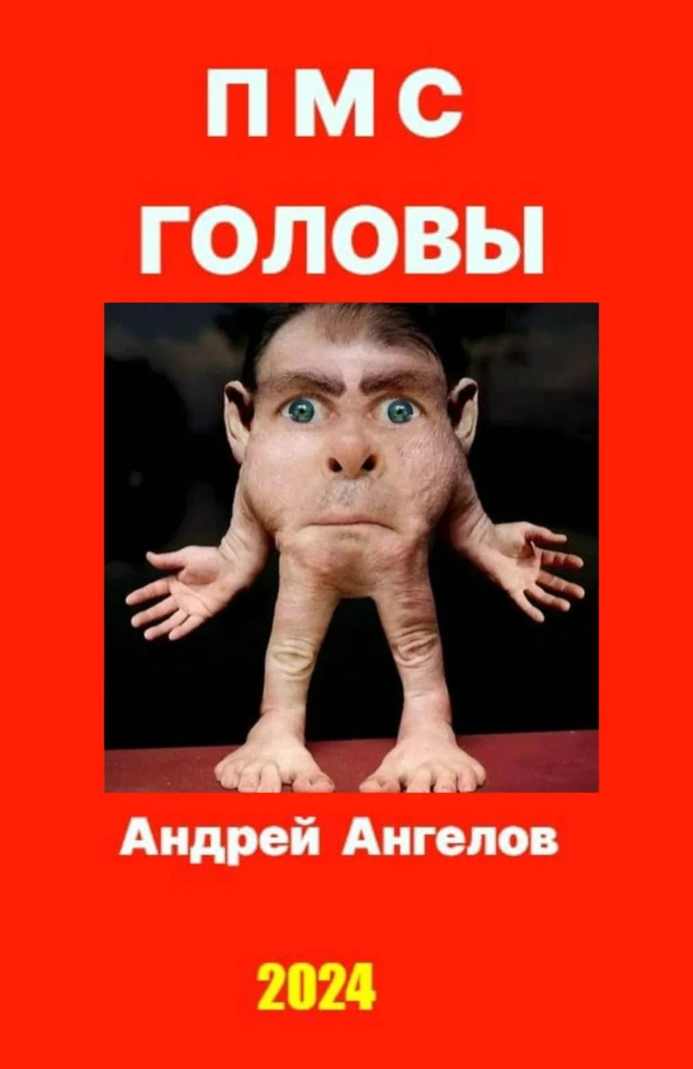 Обложка ПМС головы