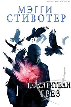 Обложка Похитители грёз