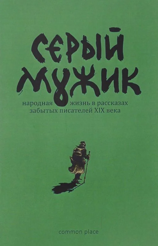 Обложка Серый мужик