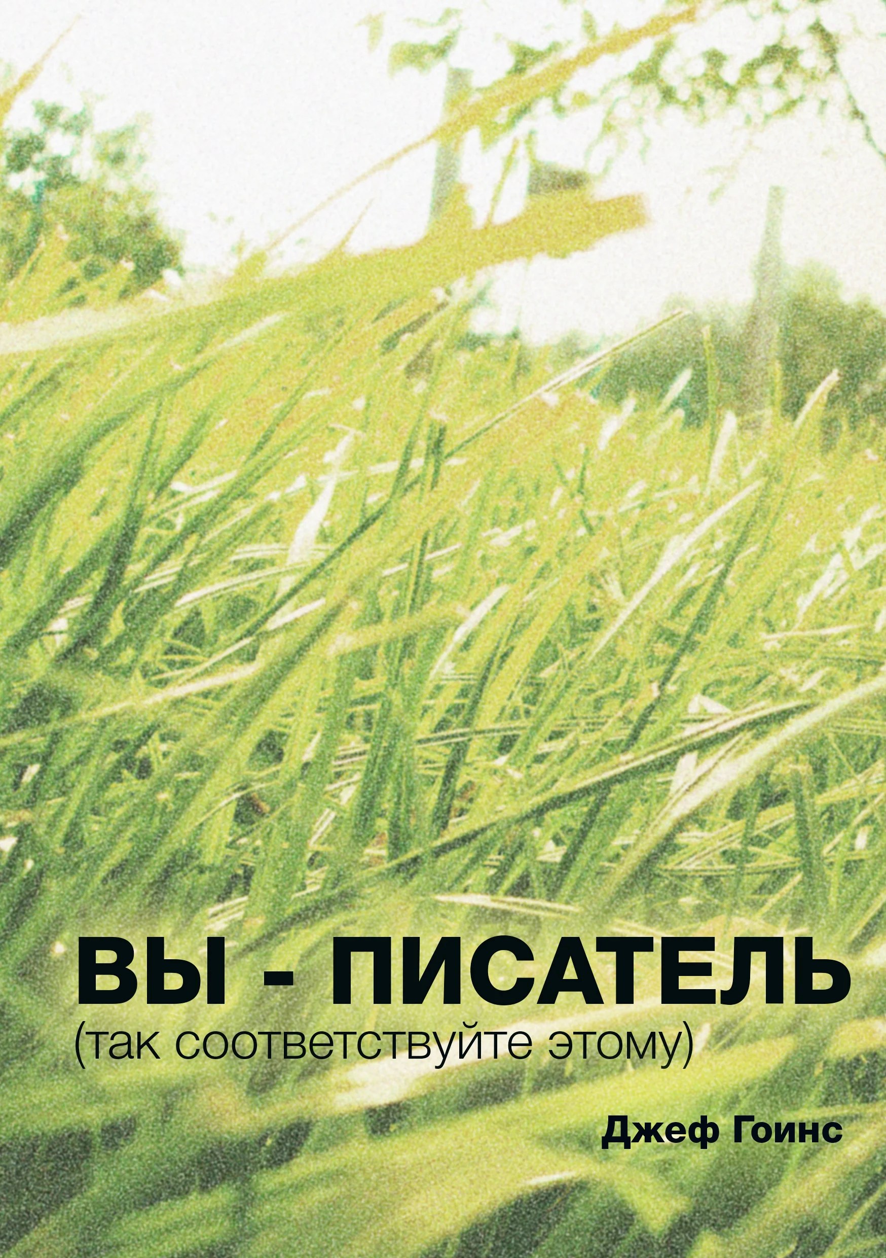 Обложка Вы - писатель