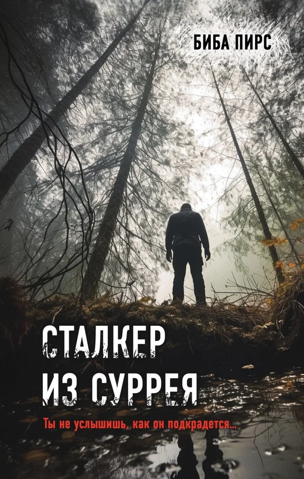 Обложка Сталкер из Суррея