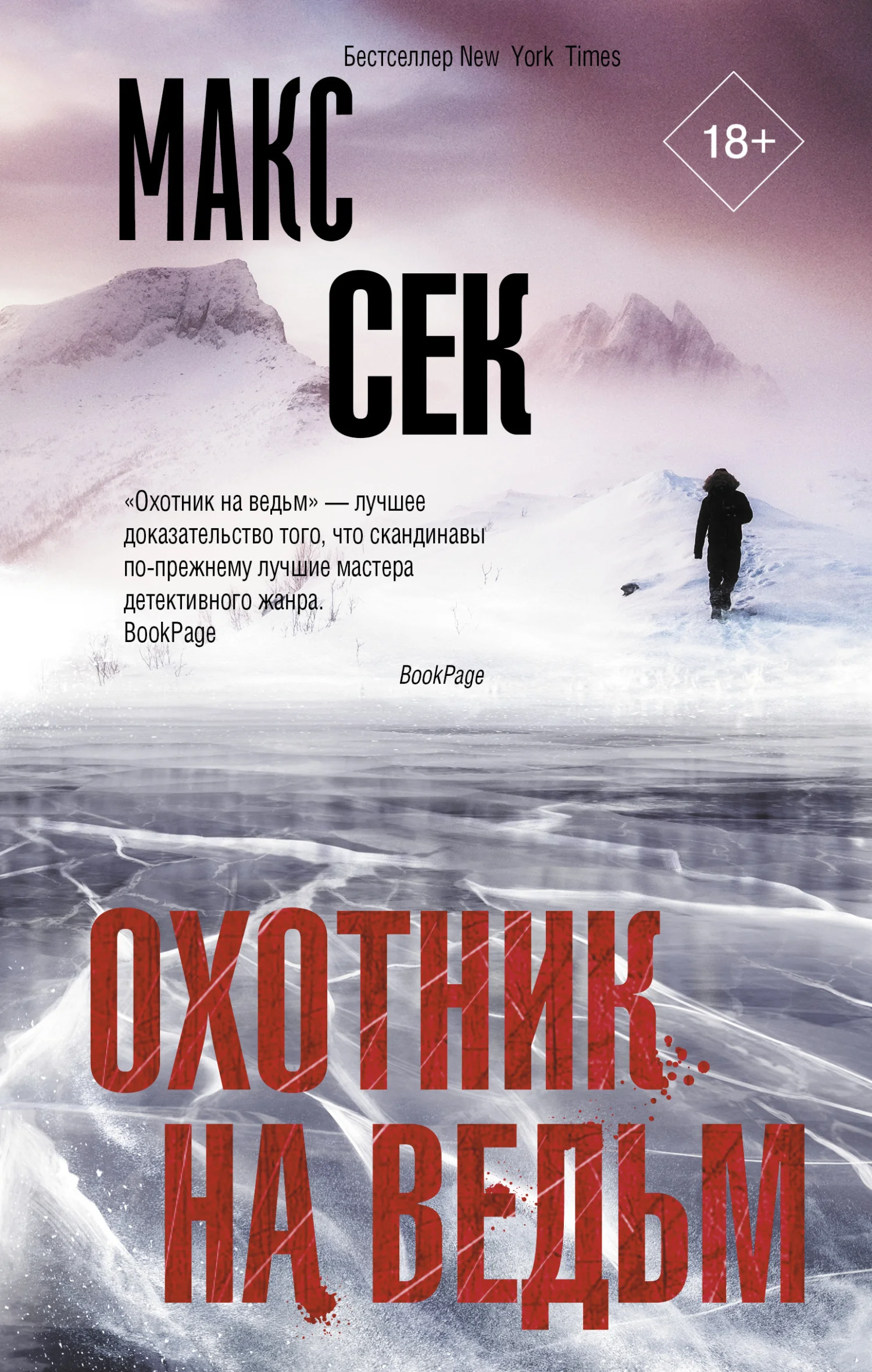 Обложка Охотник на ведьм