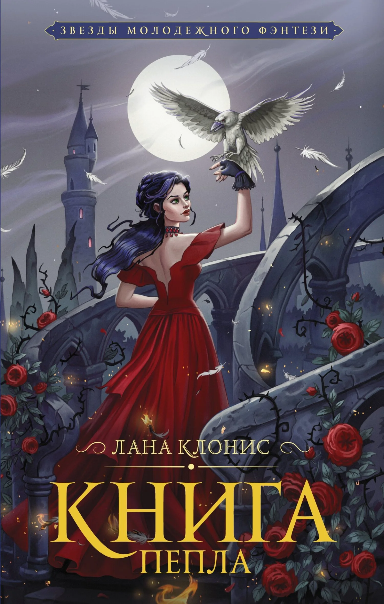 Обложка Книга Пепла