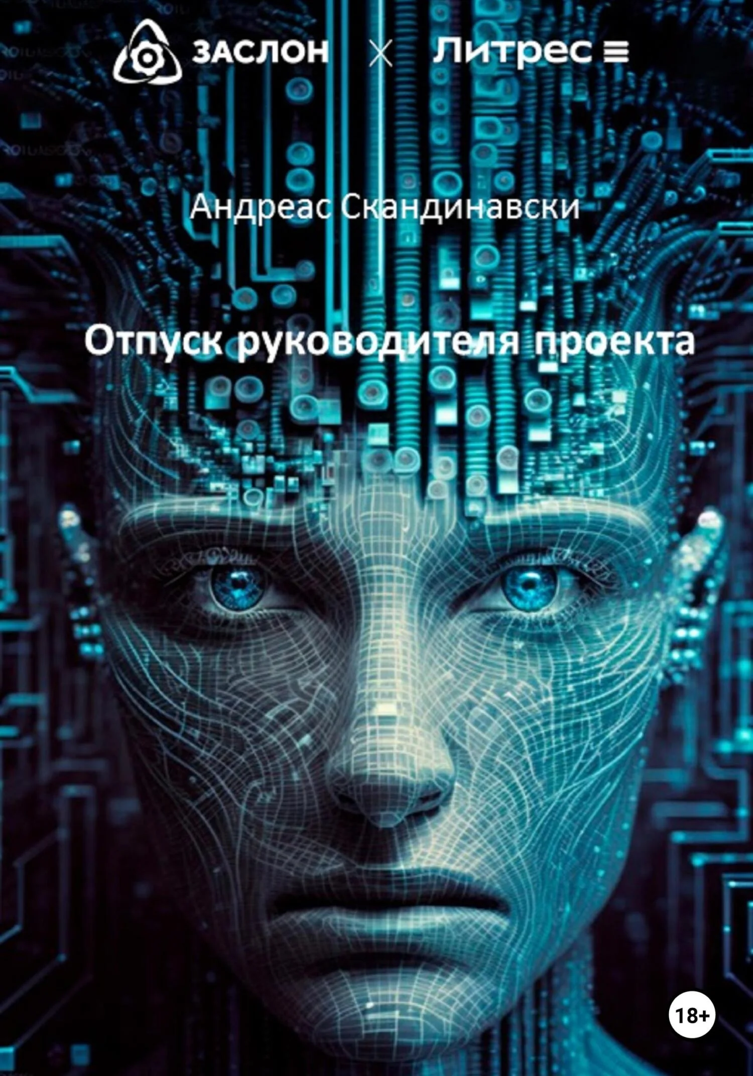 Обложка Отпуск руководителя проекта