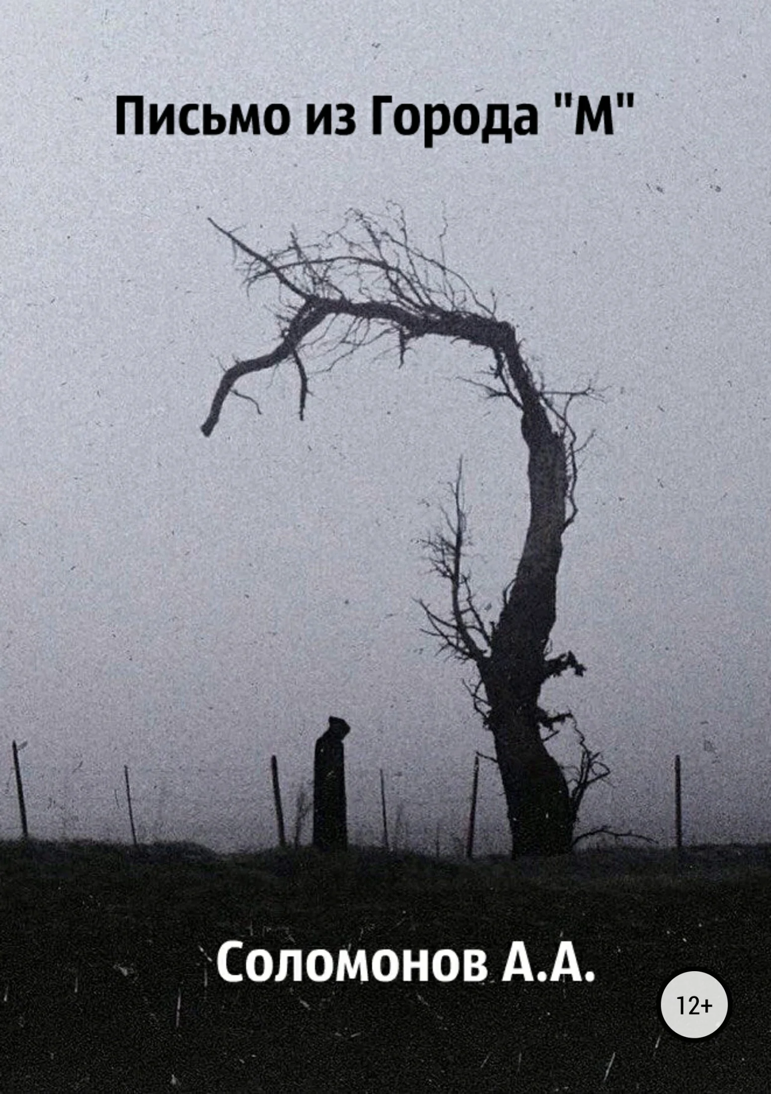 Обложка Письмо из города "М"