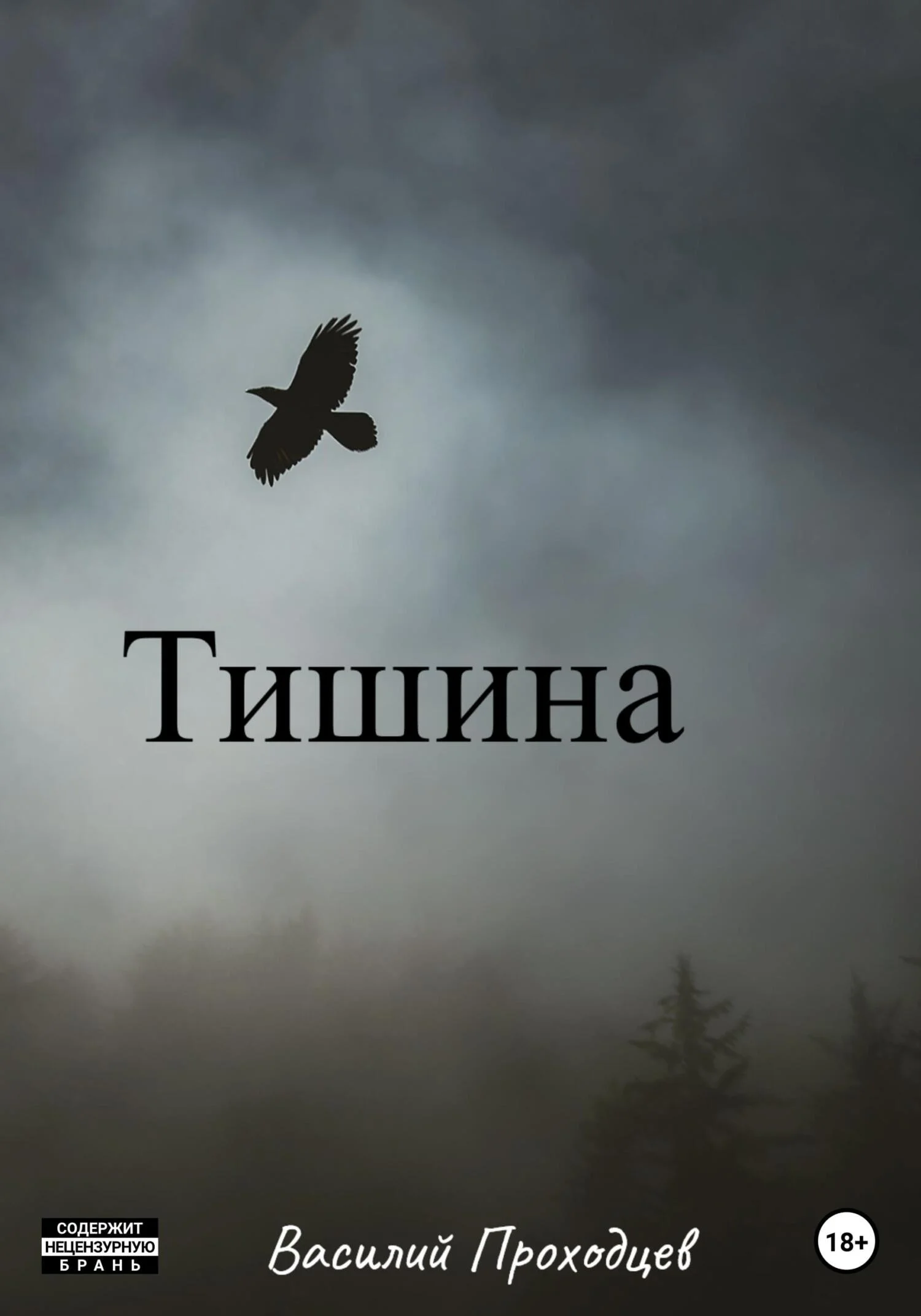 Обложка Тишина
