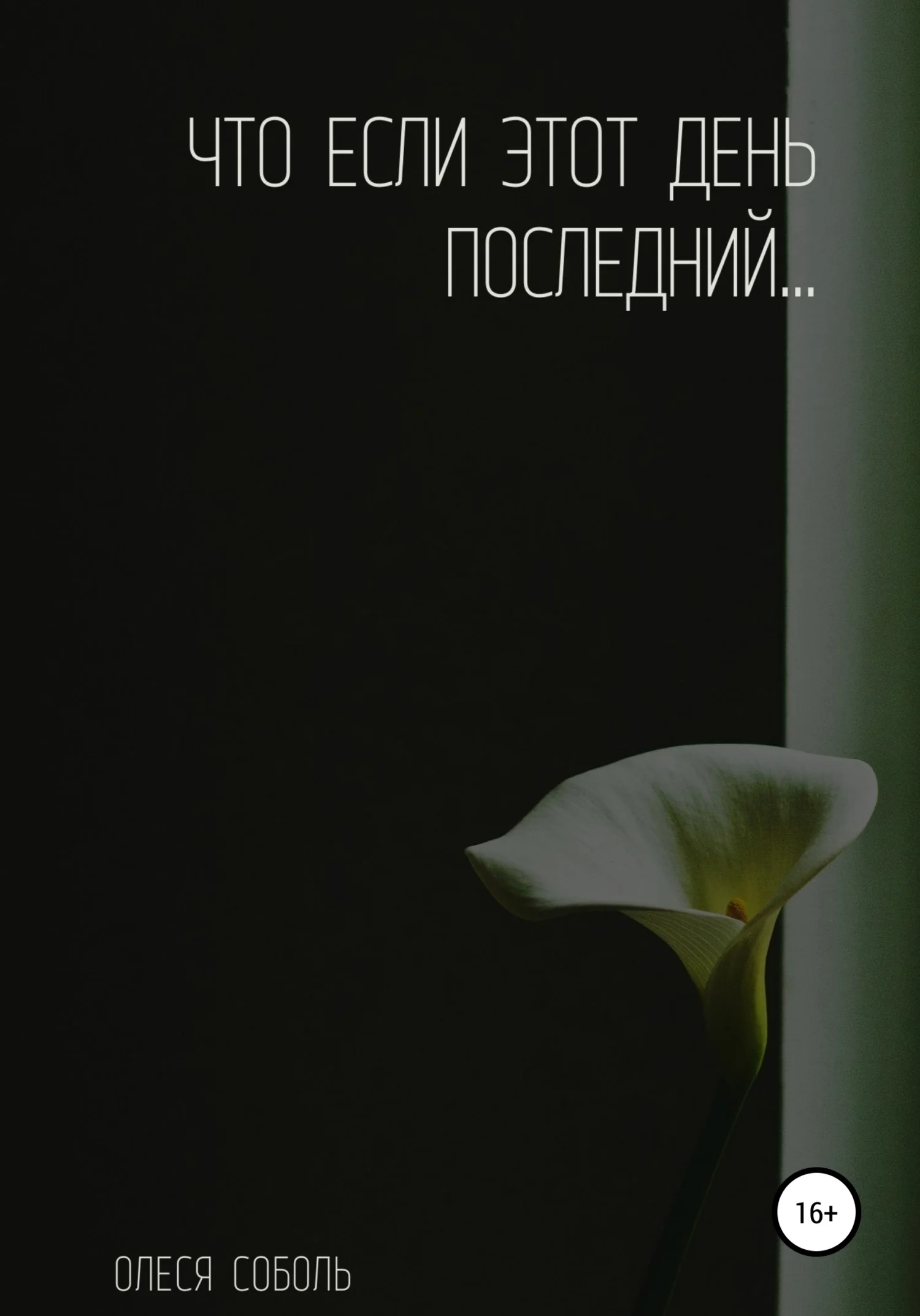 Обложка Что если этот день последний…