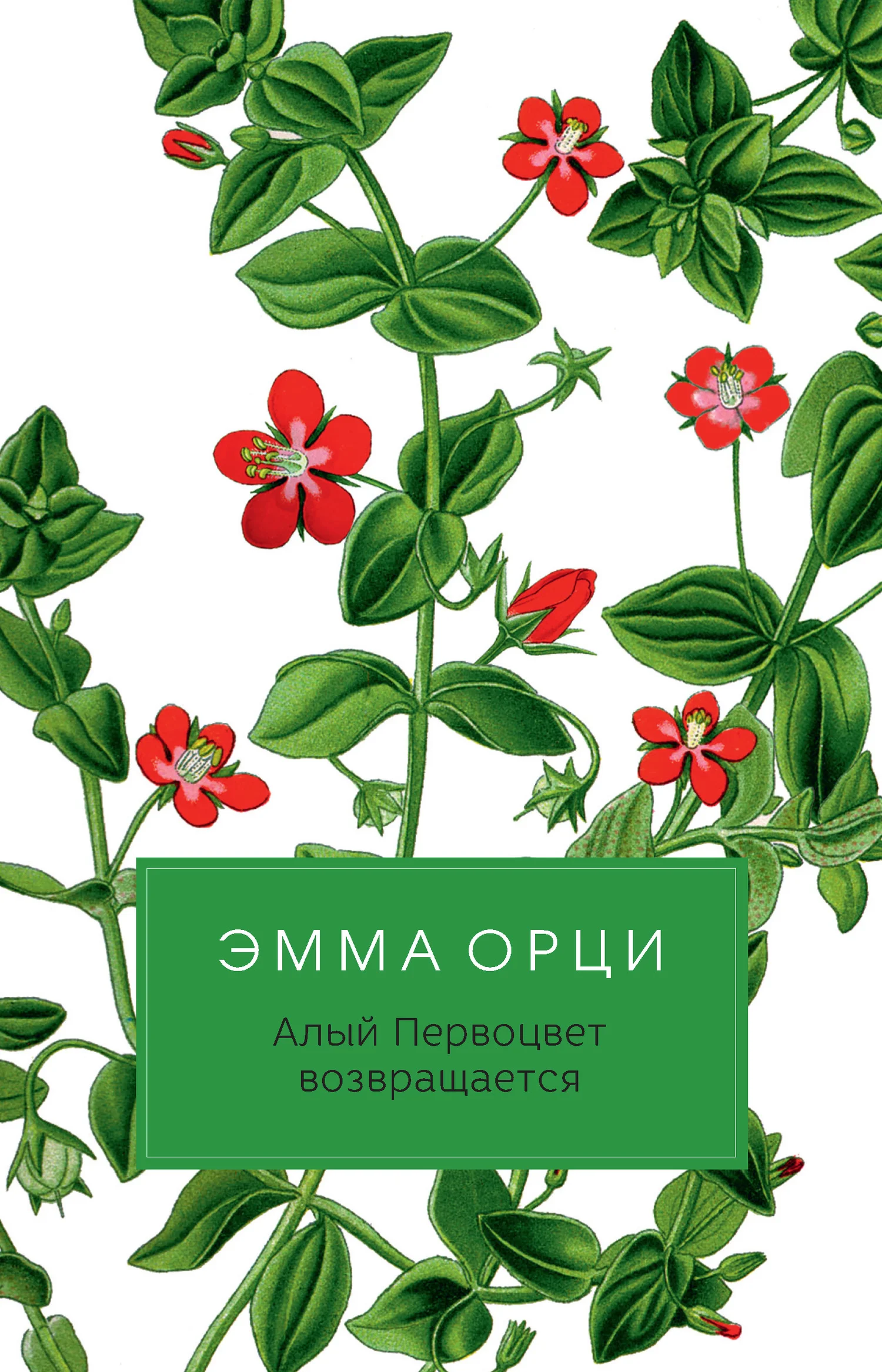 Обложка Алый Первоцвет возвращается