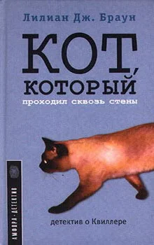 Обложка Кот, который проходил сквозь стены