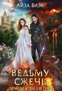 Обложка Ведьму сжечь, или Дракон, я тебе (не) пара