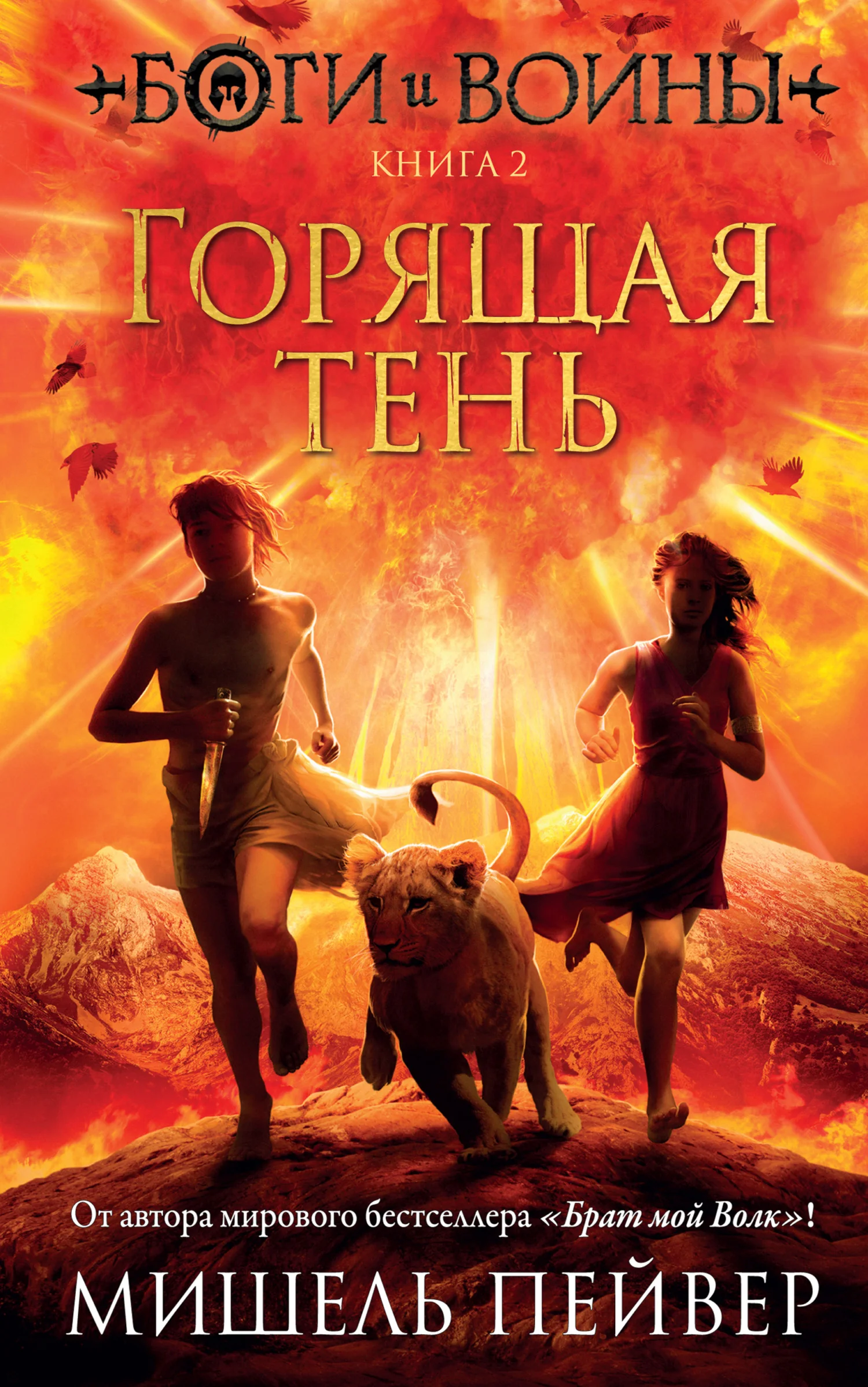 Обложка Горящая тень