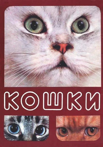 Обложка Кошки