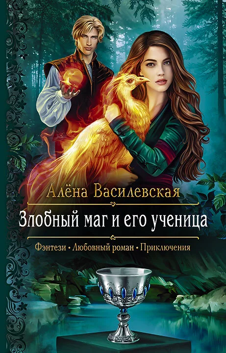 Обложка Злобный маг и его ученица