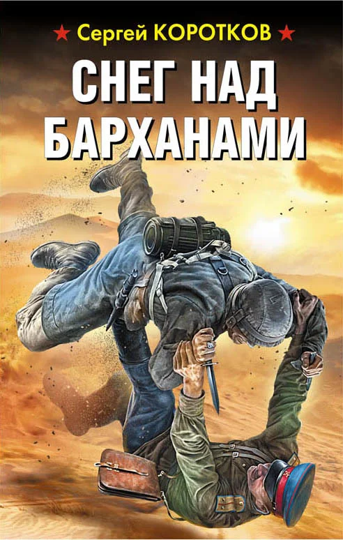 Обложка Снег над барханами