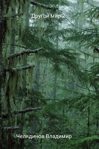 Обложка Другой мир 2