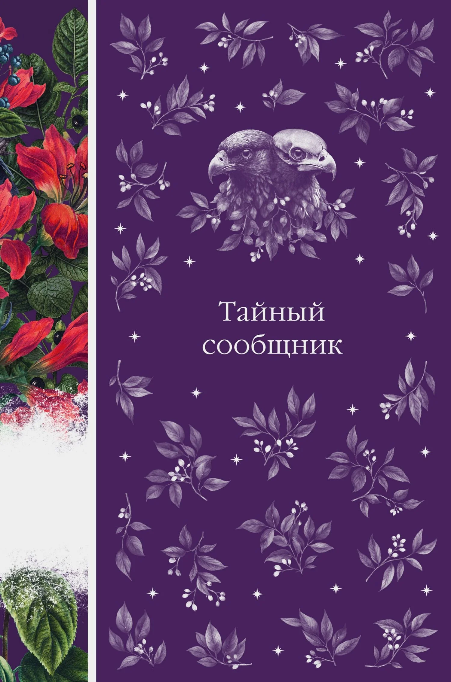 Обложка Тайный сообщник