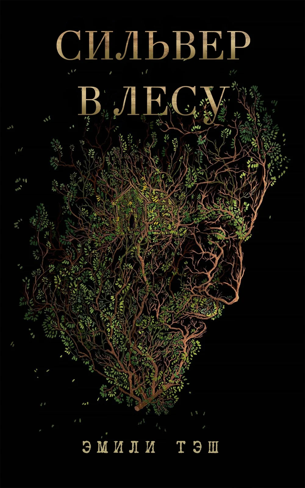 Обложка Сильвер в лесу