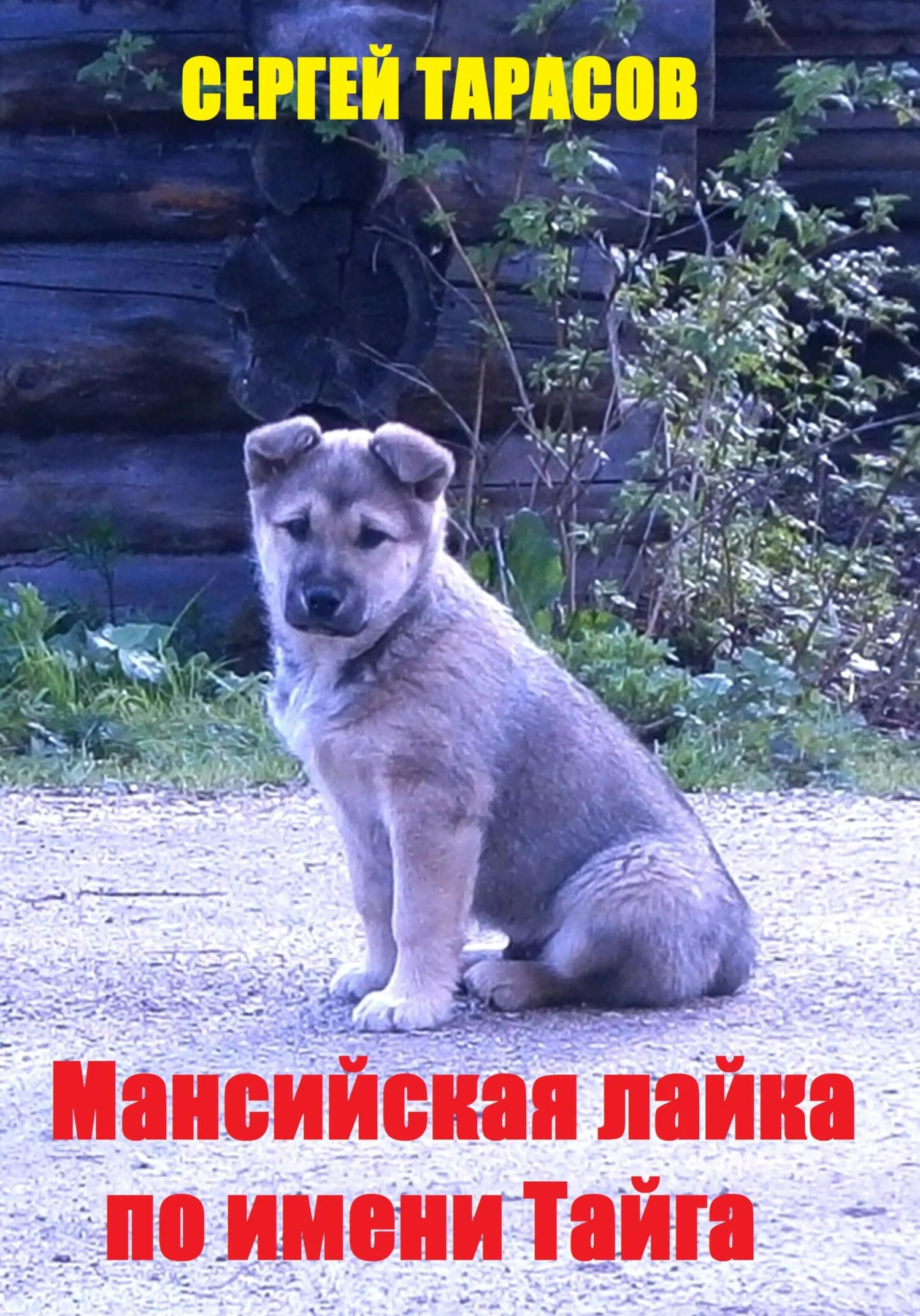 Обложка Мансийская лайка по имени Тайга