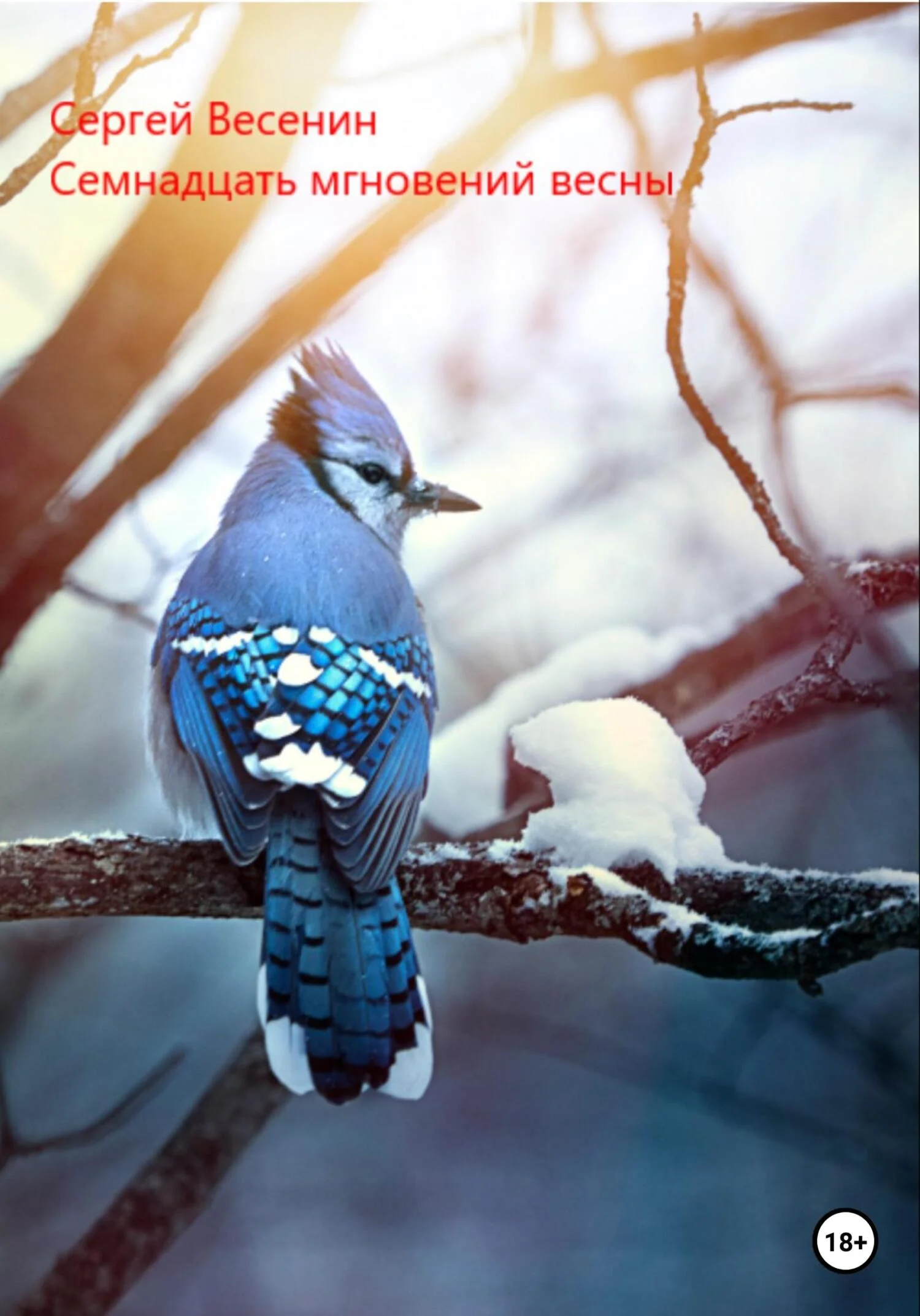 Обложка Семнадцать мгновений весны